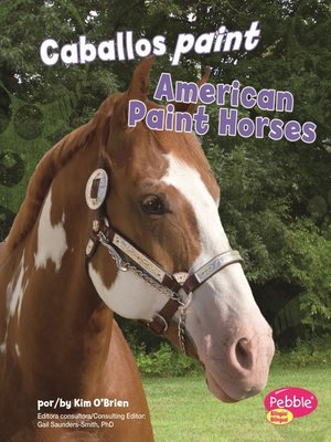 cover image of Caballos paint/American Paint Horses